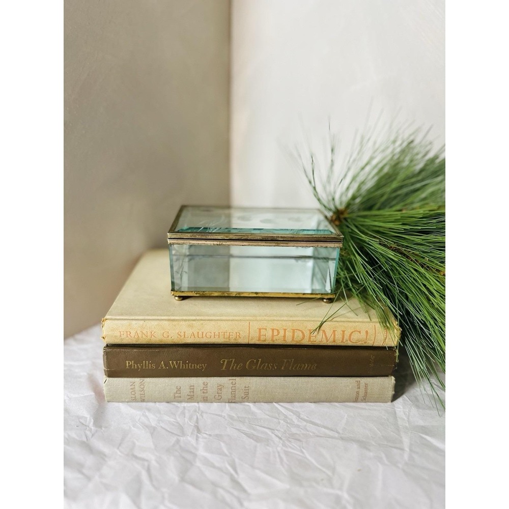 Vtg Etched Glass Brass Lidded Trinket Box Mirrored Bottom 5.25"